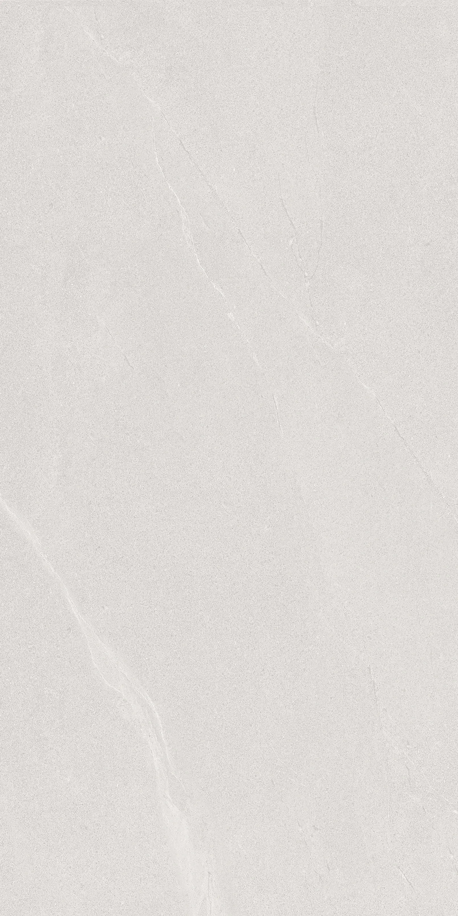 Палато Сильвер 60x120