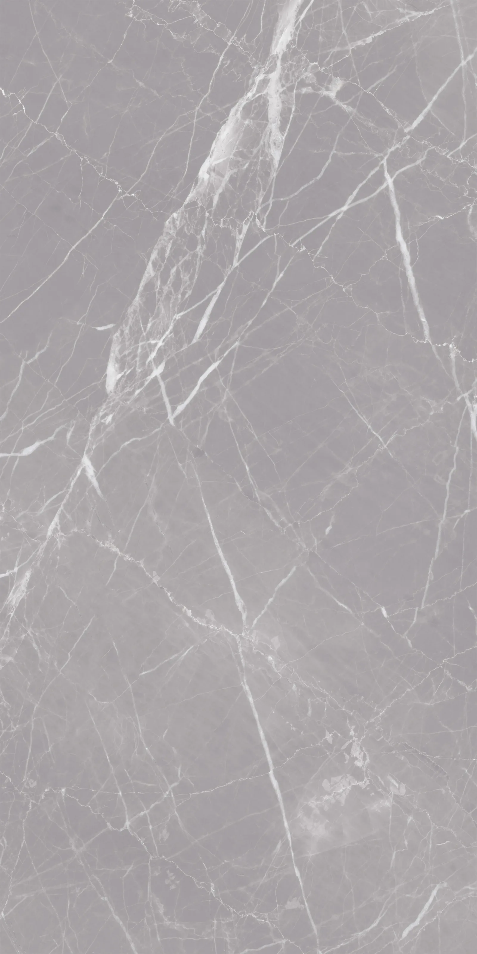 Айрис Грей 60x120