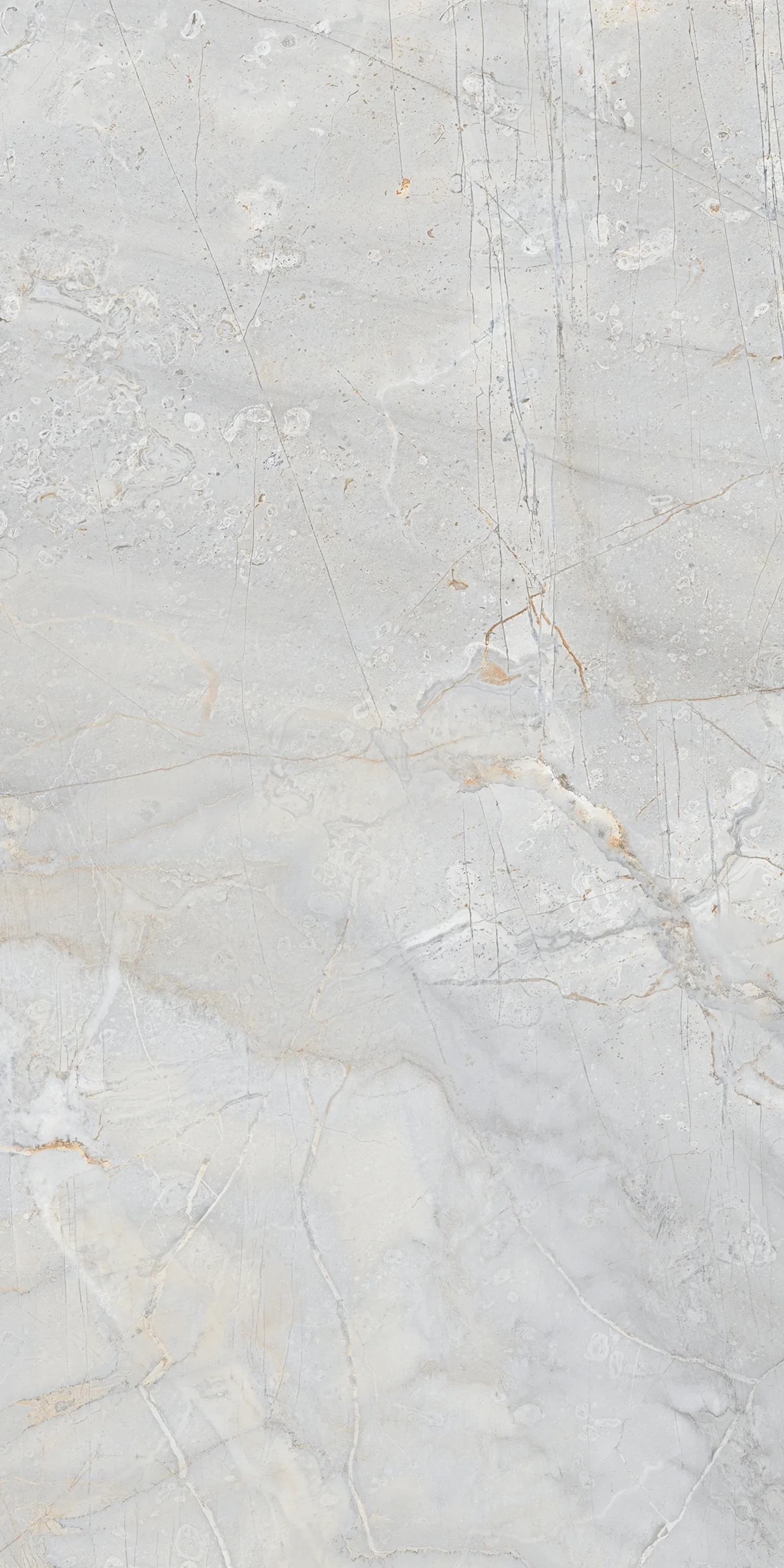 Карибиан Вайт 60x120