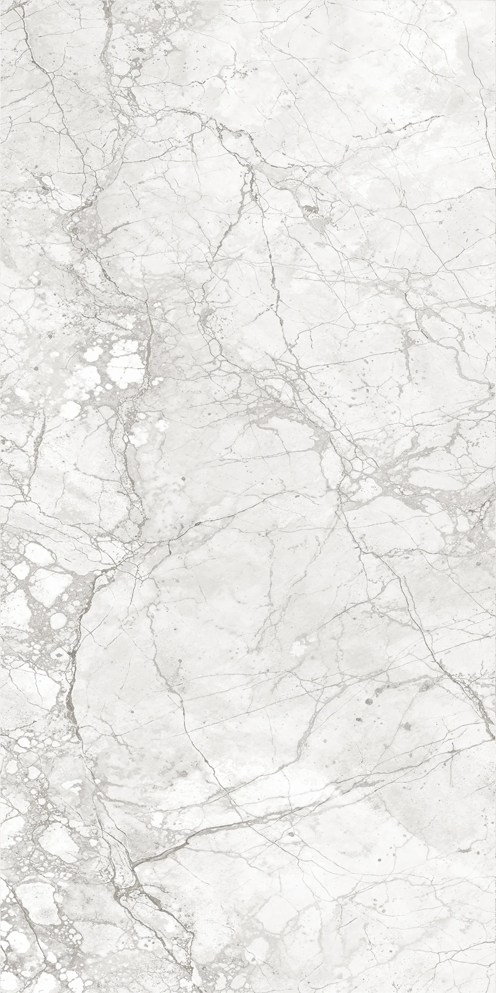 Кливиа Вайт 60x120