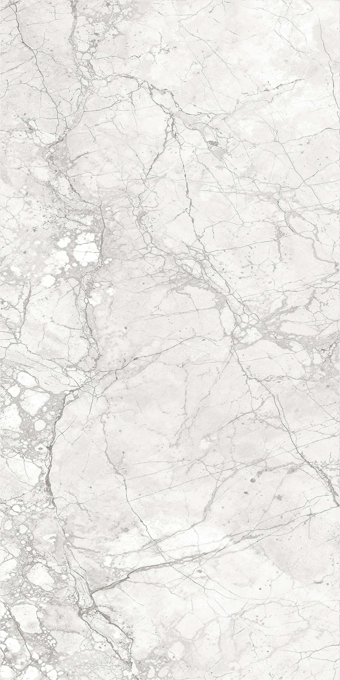 Кливиа Вайт 60x120